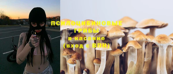 марки nbome Белокуриха