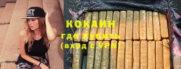 шишки Белоозёрский